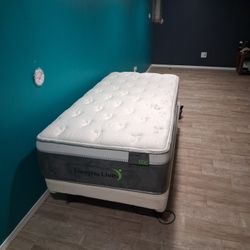 Two Twin mattresses Sleep To Live Series 600