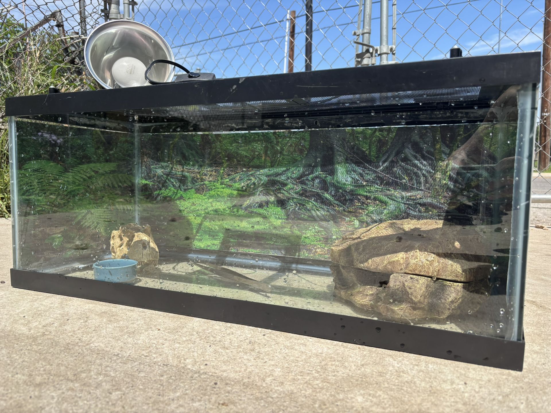 Terrarium w/ Light and Accessories