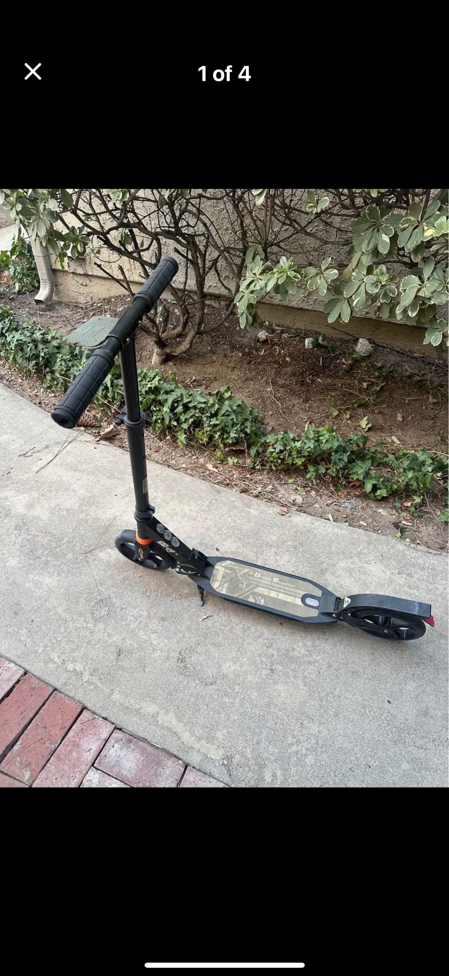 Primo Scooter
