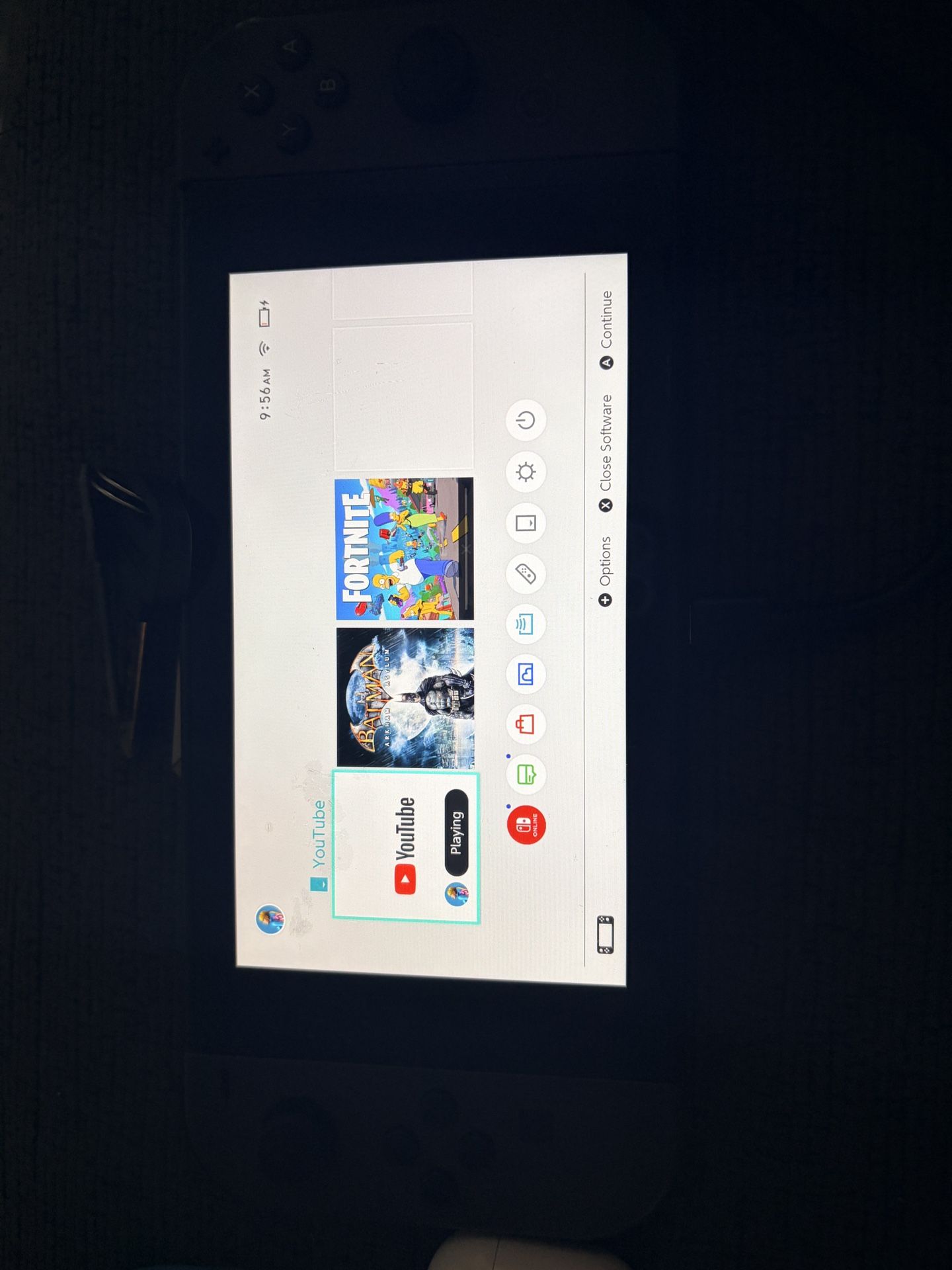 Nintendo Switch And Controller Blemish On Screen