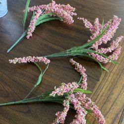 Beautiful Spring Hanging Flower Buds