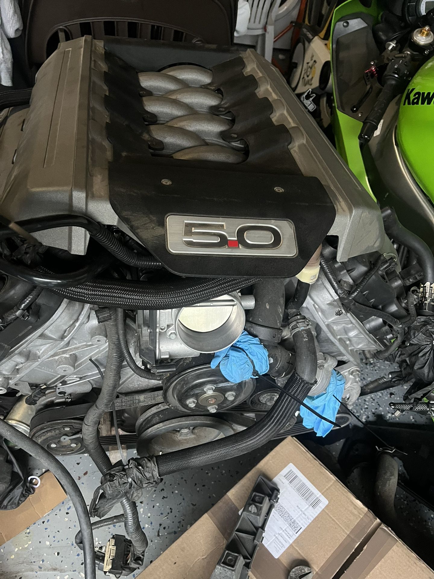 2013 Mustang GT Engine Coyote 