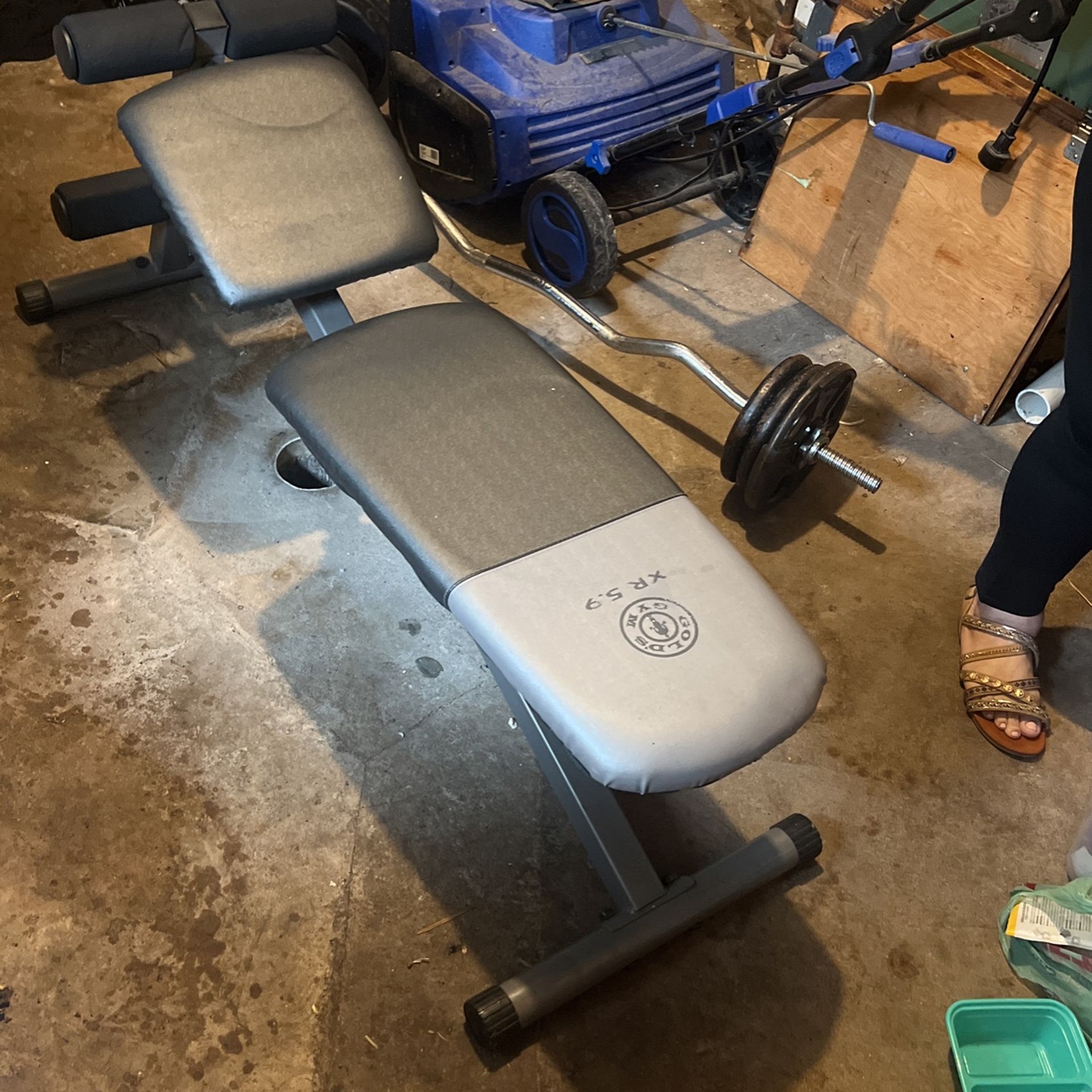Gold's Gym XR 5.9 Adjustable Slant Workout Weight Bench for Sale in