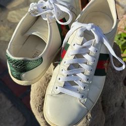Tenis