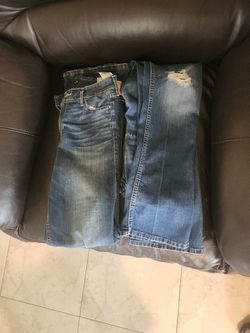 Hollister Jean's