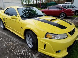 2000 Ford Mustang 281cid GT
