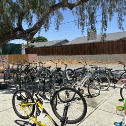 Bikes 