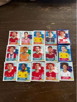 Panini Fifa World cup sticker