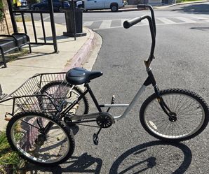 24" Adult Tricycle