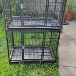 Dog Cages