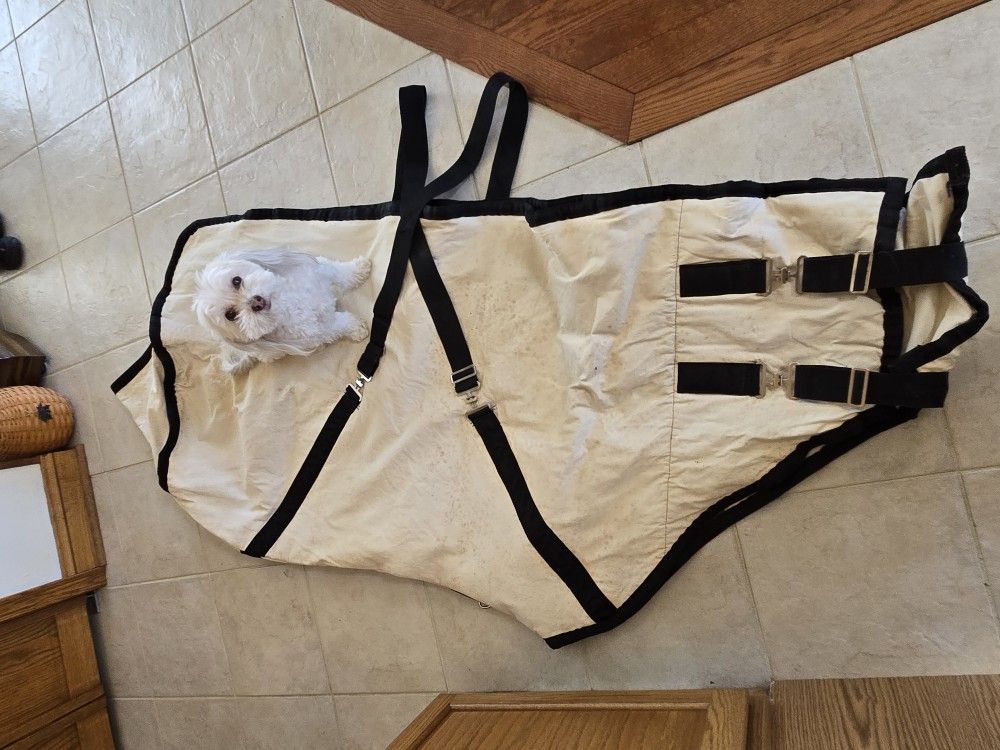 Canvas Winter Horse Blanket