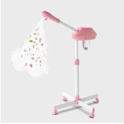 Facial Steamer