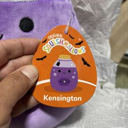 Squishmallows 