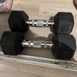 15 Lb Set Of Dumbbells And Bag Gloves 