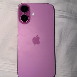 iPhone 16 In Pink