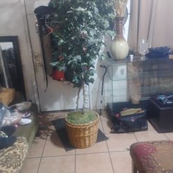 7 Ft Indoor Outdoor Lighted Artificial Tree $50