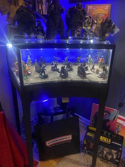 Corner display case