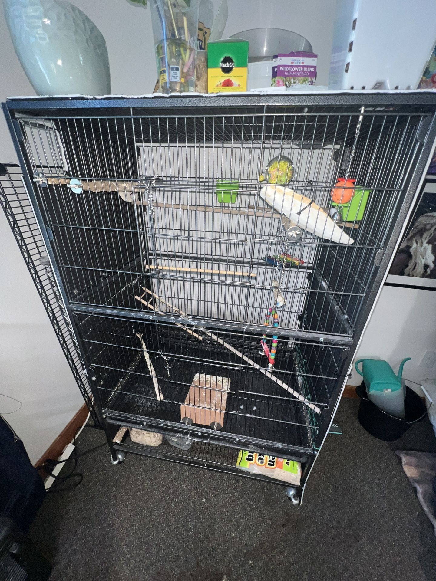 Flight Bird Cage