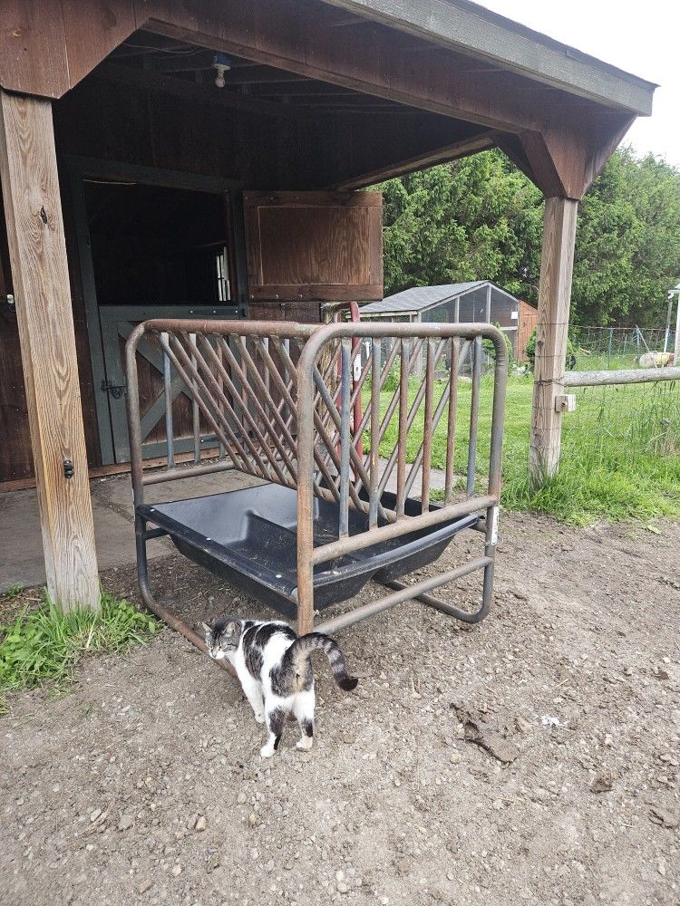 Tartar Adjustable Height Goat / Sheep Feeder
