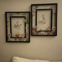 Framed Floral Art