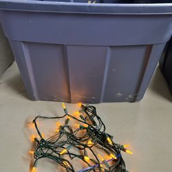 Orange Light Strands