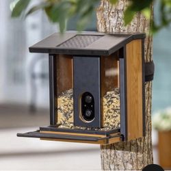 Birdfeeder With Camera