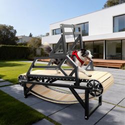 Treadmill for Large Dogs, Medium Dogs with Brake. Dog Slatmill for Healthy & Fit Dog Life, Dog Treadmill for Indoor & Outdoor. Treadmill for Dogs up t