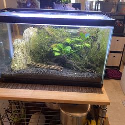 15gal Fish Tank