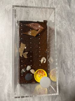Isopods with habitat and food