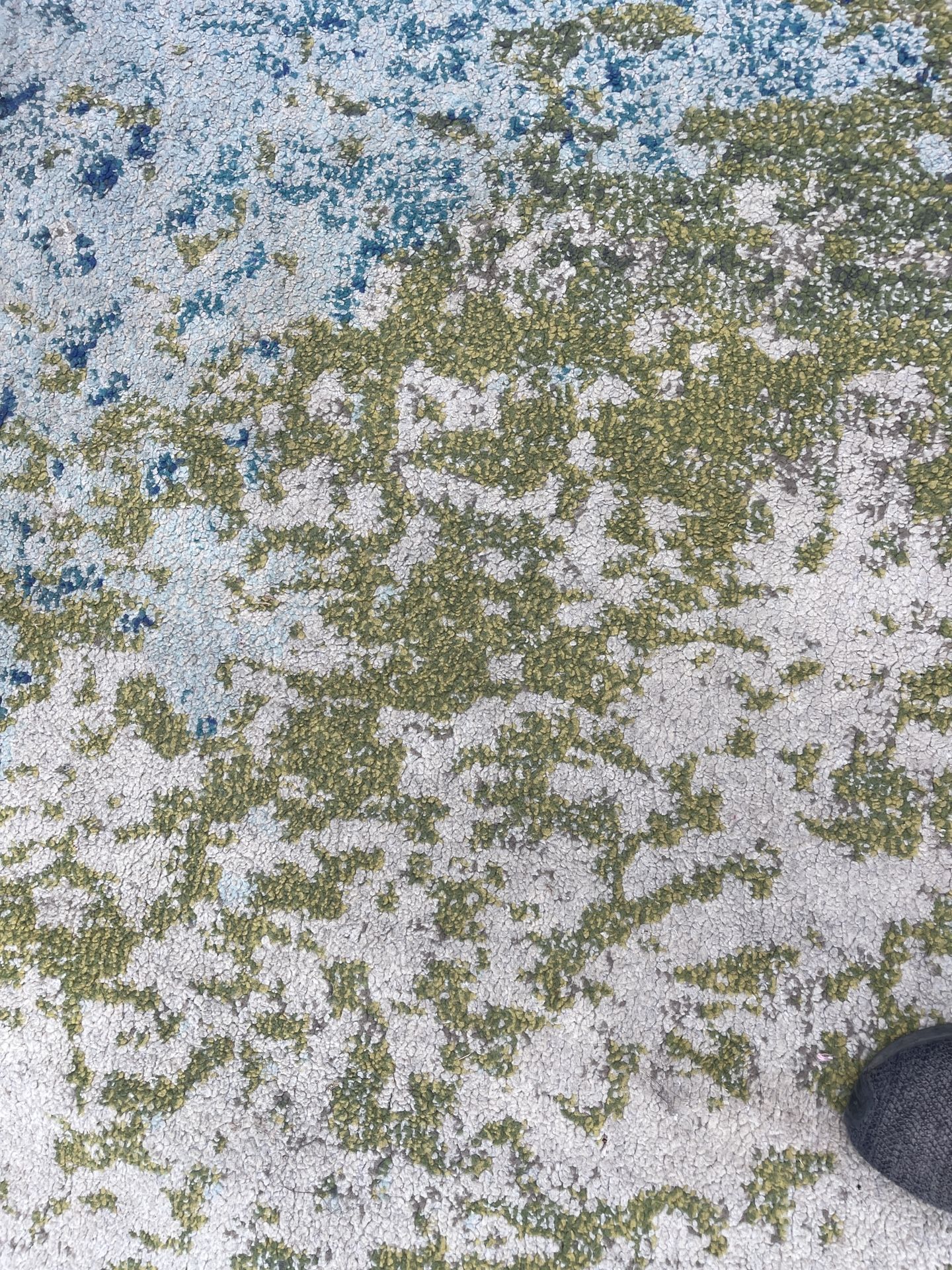 Area Rug