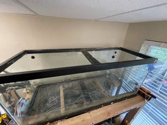 75g  $50.00