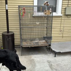 Bird Cage 