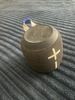 Wonderboom 4