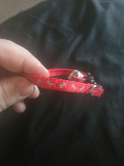 Cat collars
