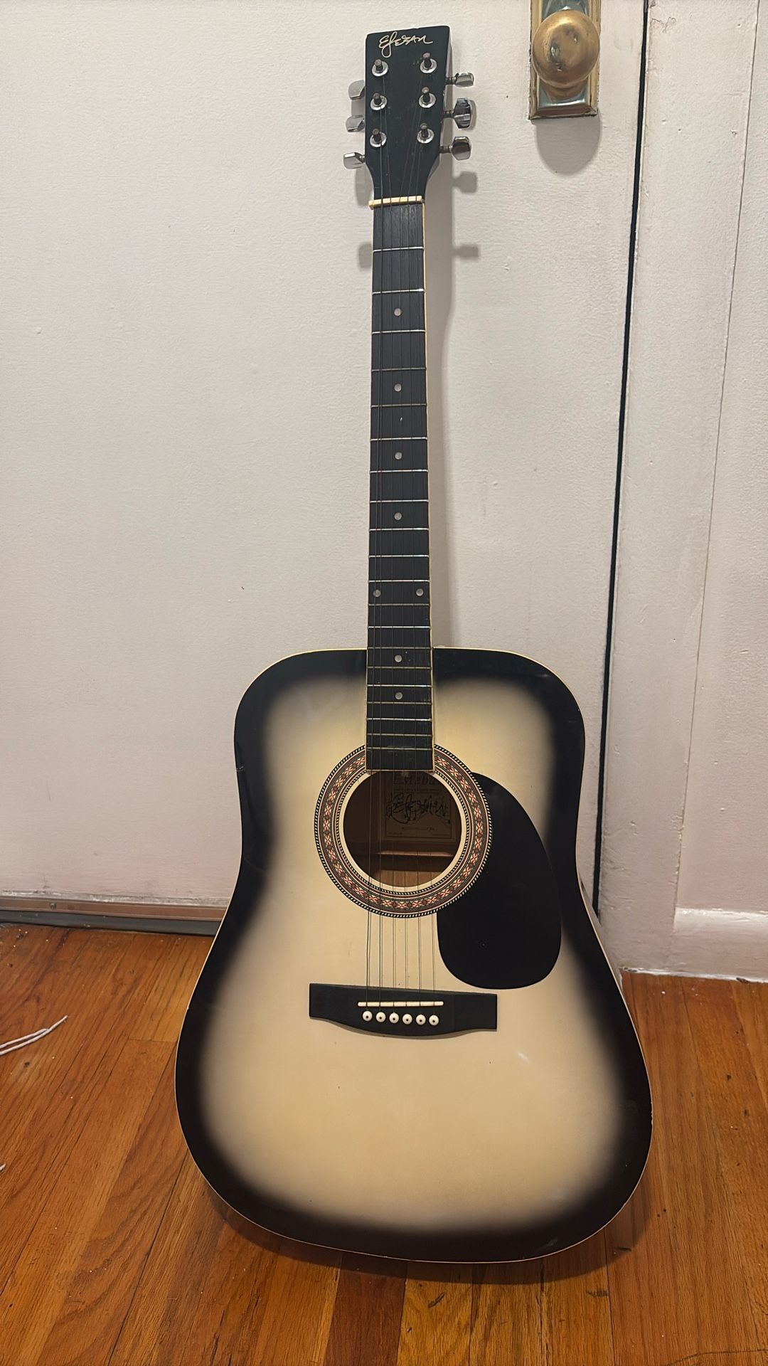 Esteban Guitar
