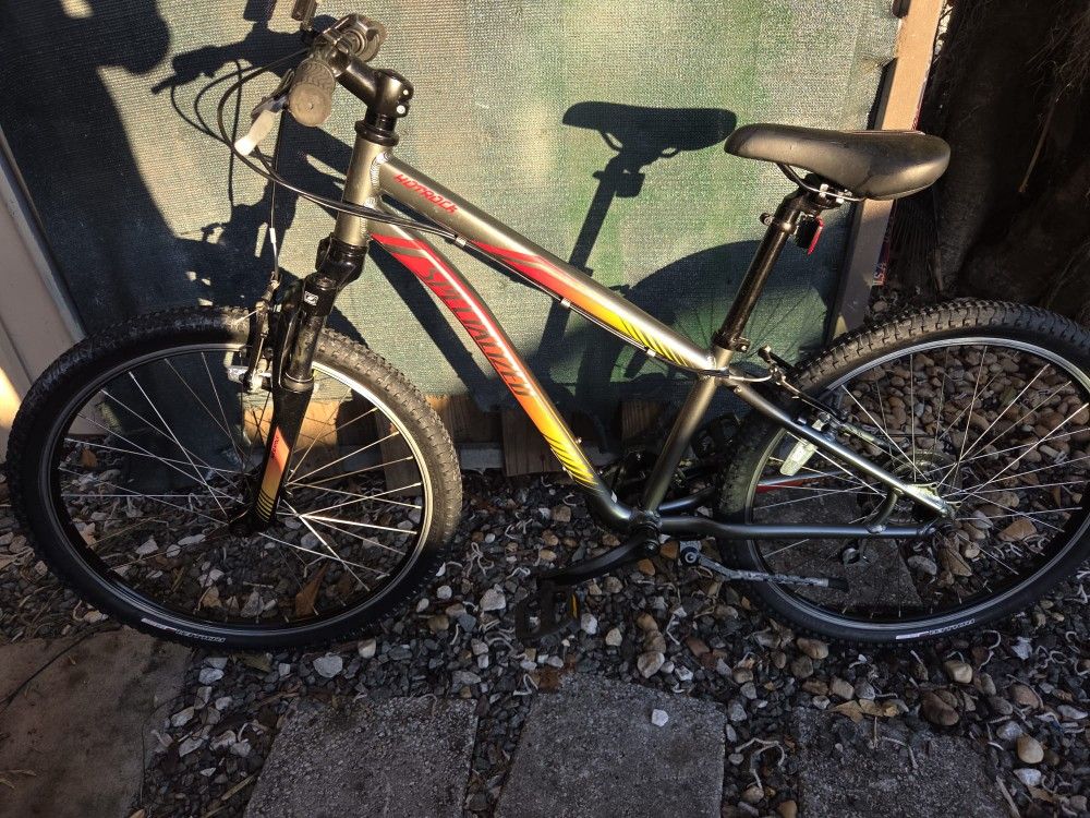 Specialized Bike Rim 24