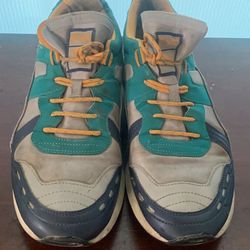 Puma Shoes 