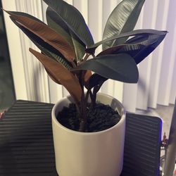 Fake Indoor Plant 
