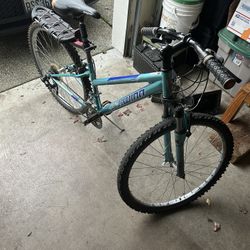 Schwinn Frontier Bike 21