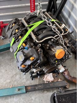 2015 coyote murder from F150 2015 coyote murder from F150