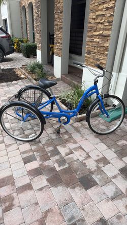 Tricycle Adult