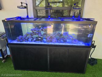Marineland 150g aquarium