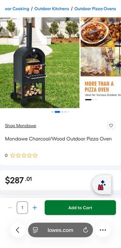 Charcoal /wood pizza over mmm and grill