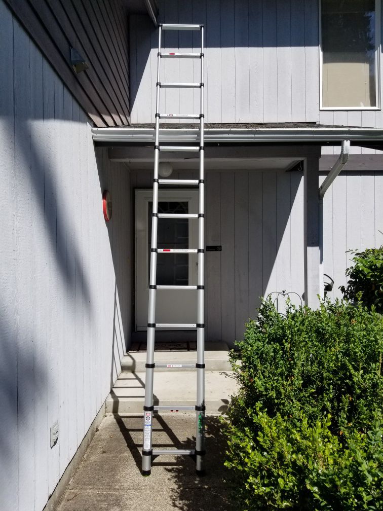 Telestep Ladder