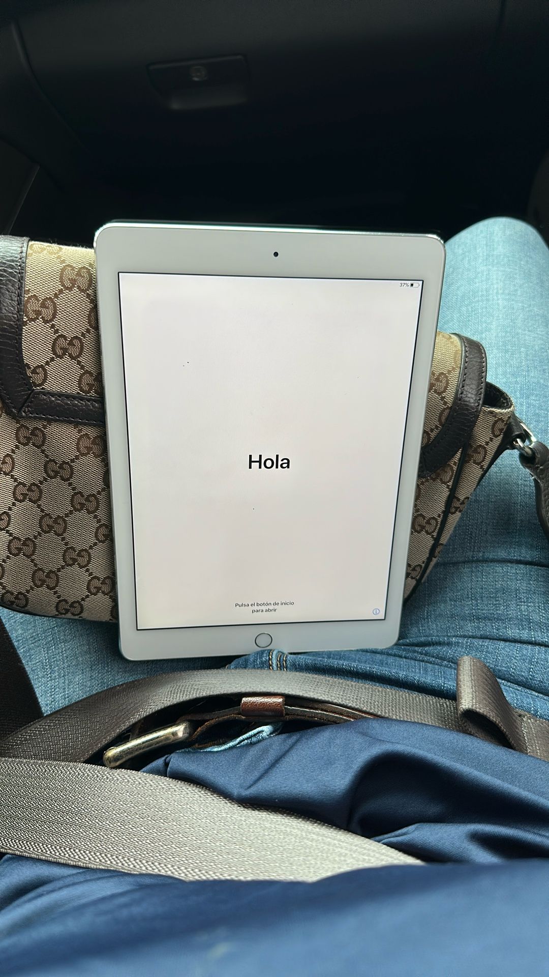 Apple iPad