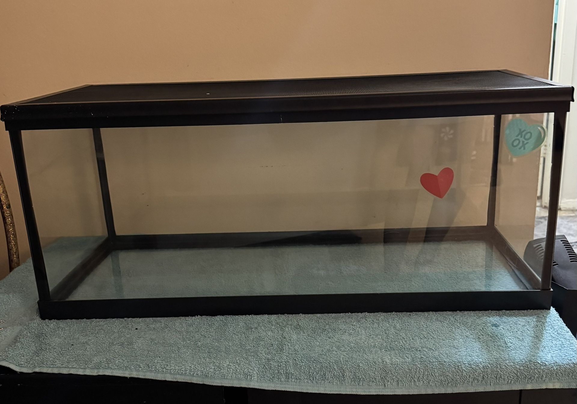 Reptile 20 Gallon starter kit