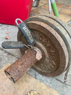 Curl bar with weights