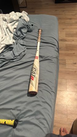 Marucci Cat 8