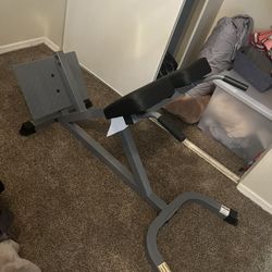 Brand New Roman Chair