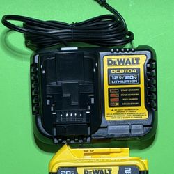 Dewalt Battery & Charger 